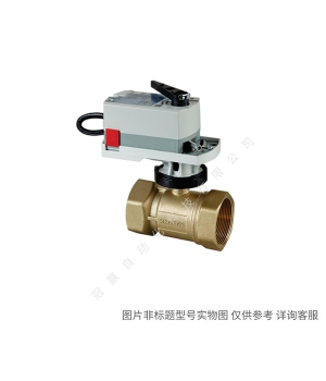 Siemens/西門子樓宇自動(dòng)化 VFF41.150 雙法蘭蝶閥