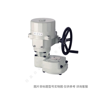 Siemens/西門(mén)子樓宇自動(dòng)化 SQL361B6000電動(dòng)執(zhí)行器